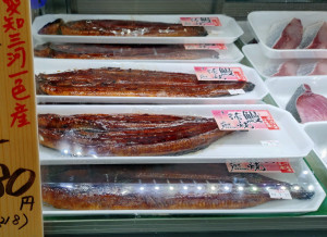 鰻フェア　群青2